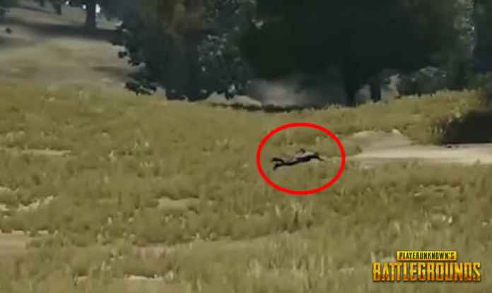 PUBG-xbox-one