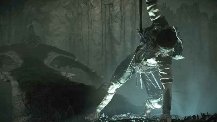 Shadow of the Colossus inceleme puanları ile şaşırtmadı