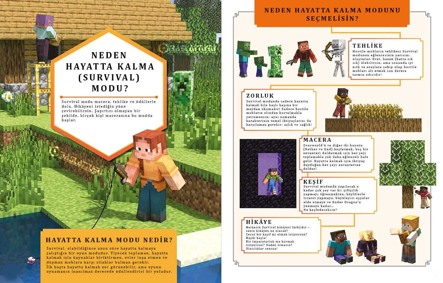 Minecraft Başlangıç Rehberi